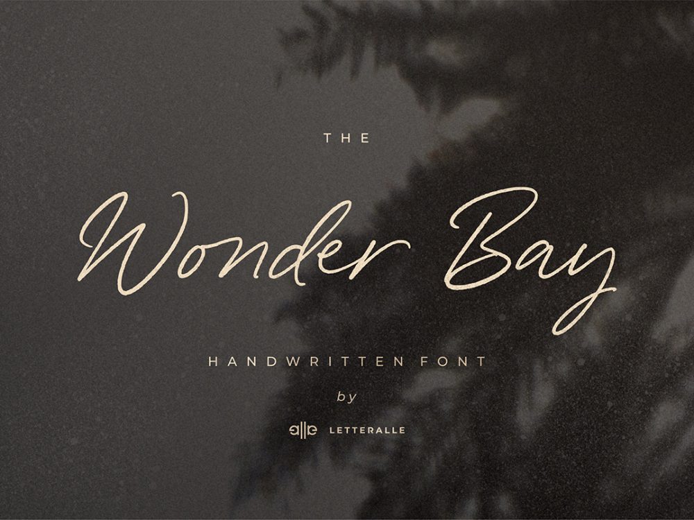 Wonder Bay Script Demo