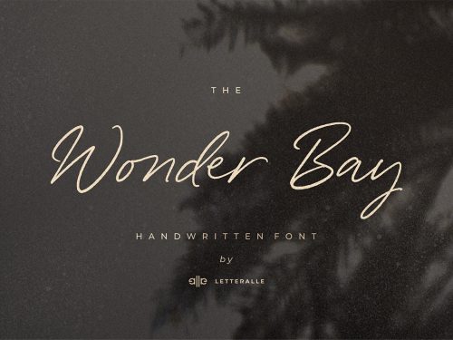 Wonder Bay Script Demo