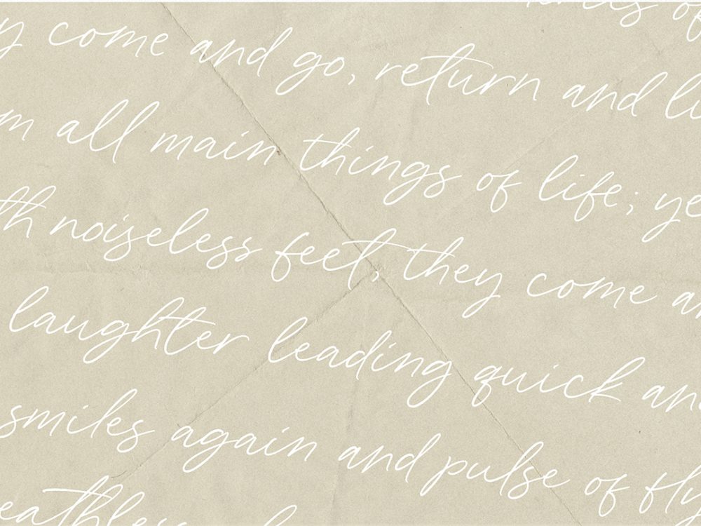 Wonder Bay Script Demo