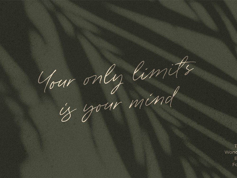 Wonder Bay Script Demo