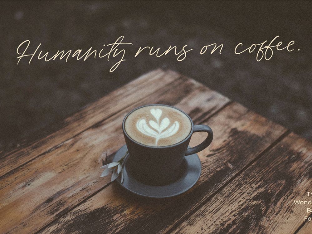 Wonder Bay Script Demo