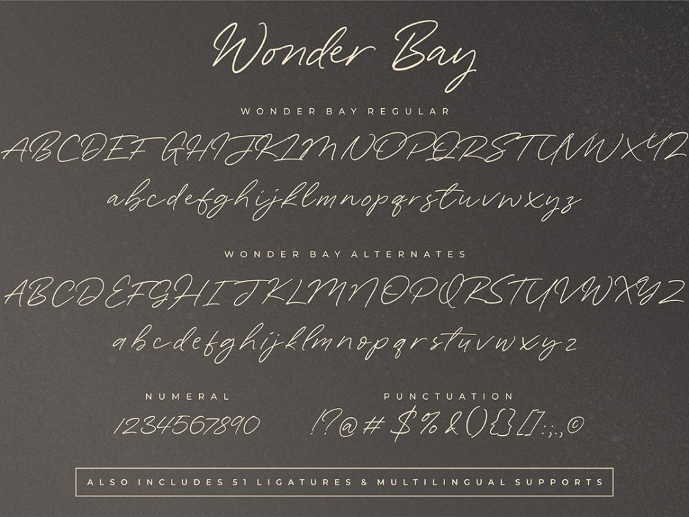 Wonder Bay Script Demo