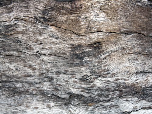 5 Old Wood Textures Pack