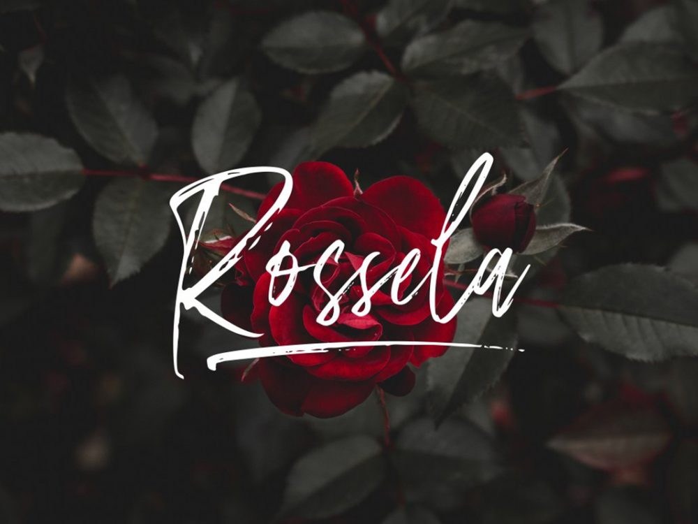 Amourist Handlettering Script