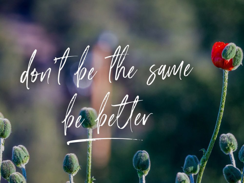 Amourist Handlettering Script