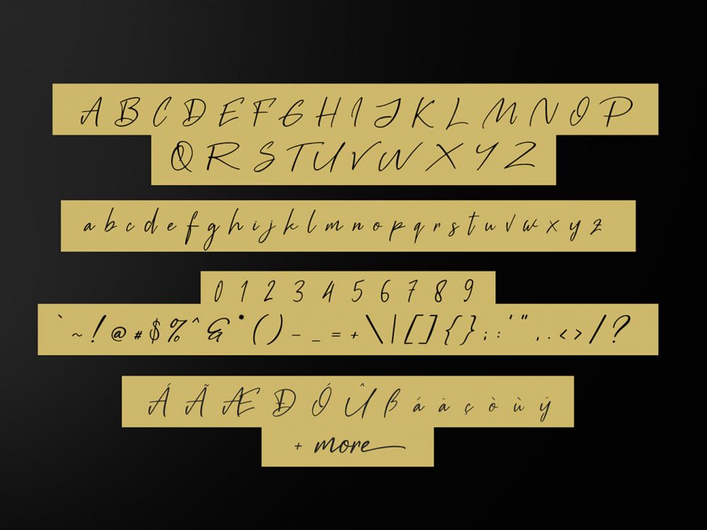 Black Pen Script Free Demo