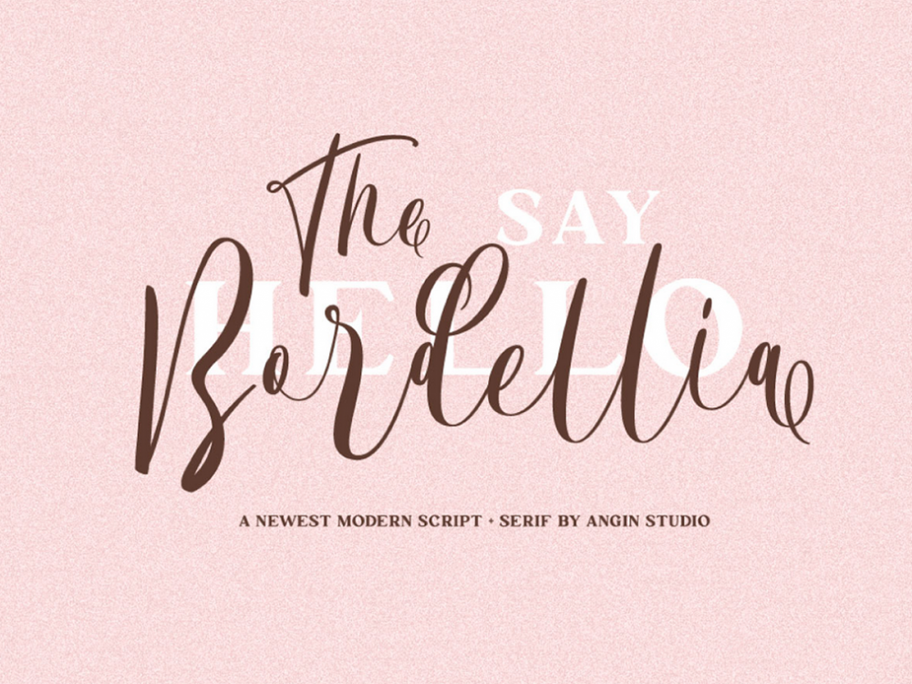 Bordellia Script Lettering Font