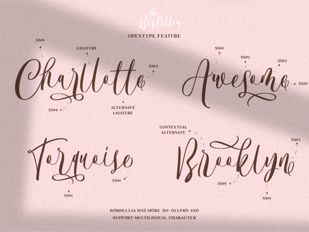 Bordellia Script Lettering Font