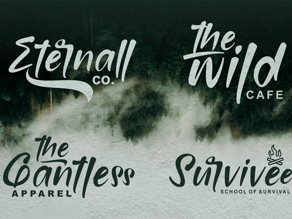 Bridamount Script Free Demo