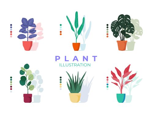 Colorful Plant Illustration