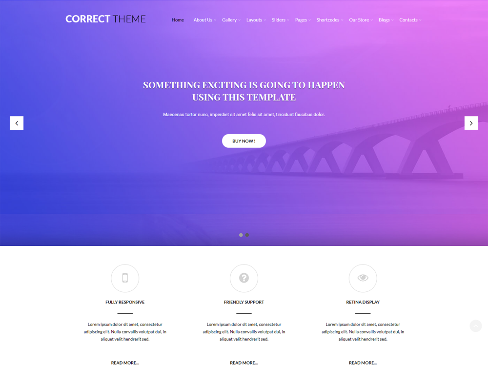 Correct Lite WordPress Theme