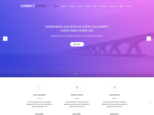 Correct Lite WordPress Theme