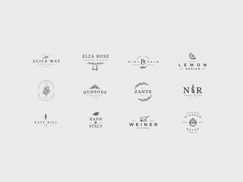 Delicate Feminine Logos