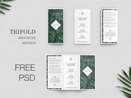 Free Trifold Brochure Mockup