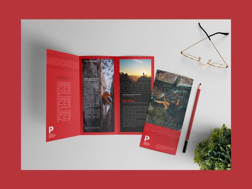 Free Trifold Brochure Mockup