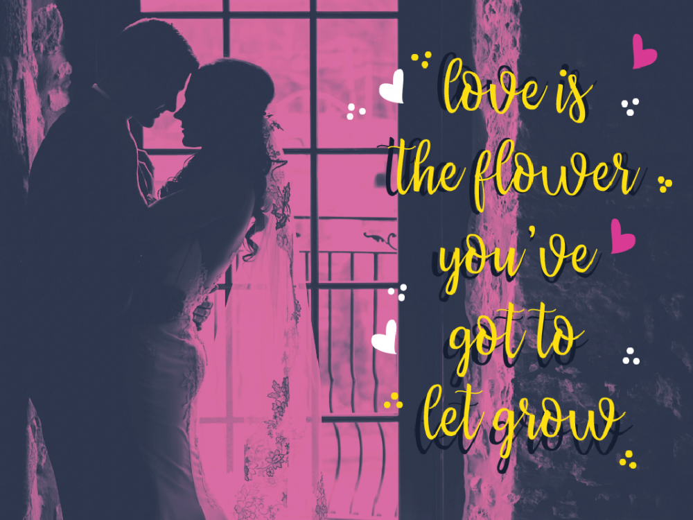 Priscilla Script Free Typeface