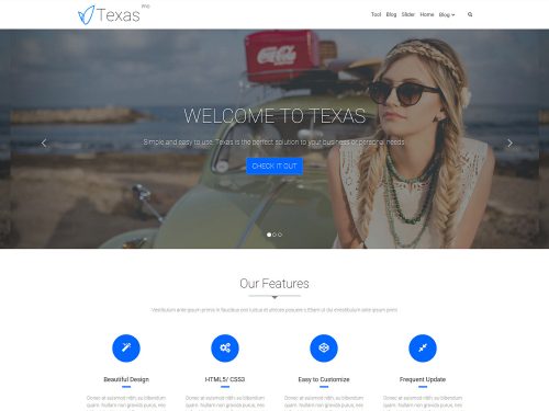 Texas Business WordPress Theme
