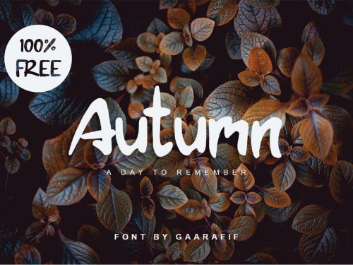 Autumn Free Display Font