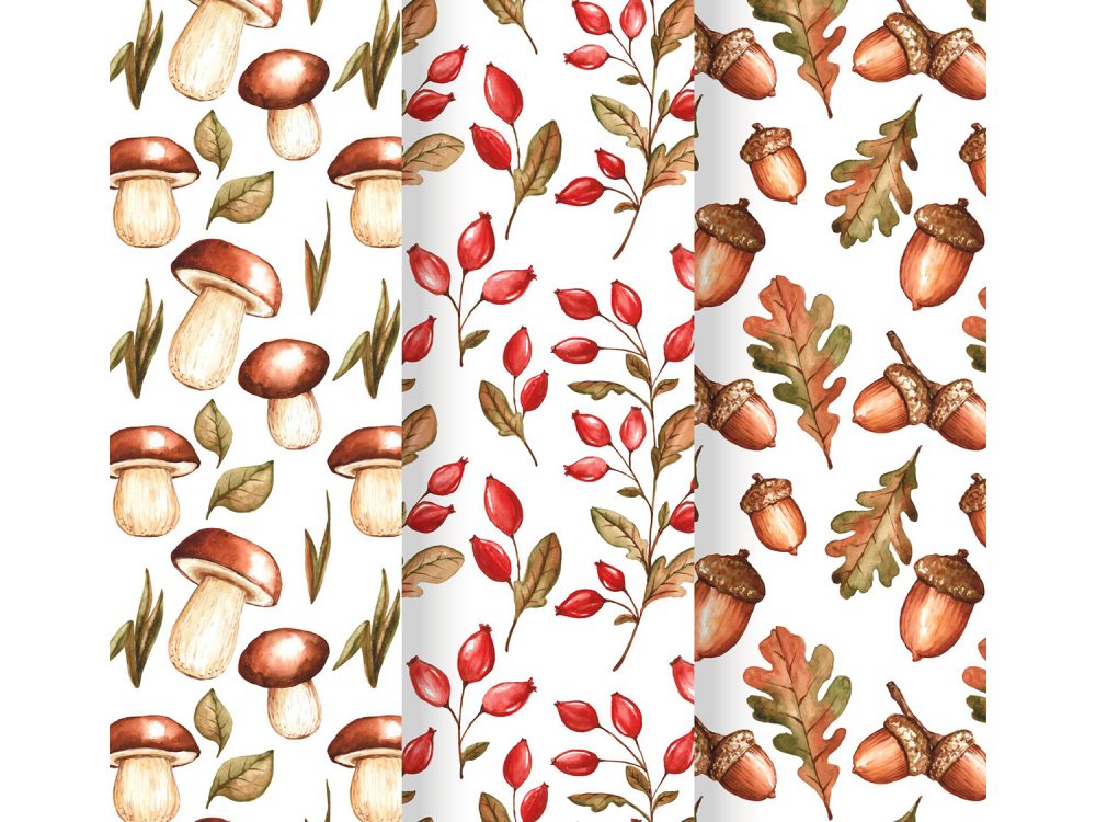 Autumn Pattern Collection