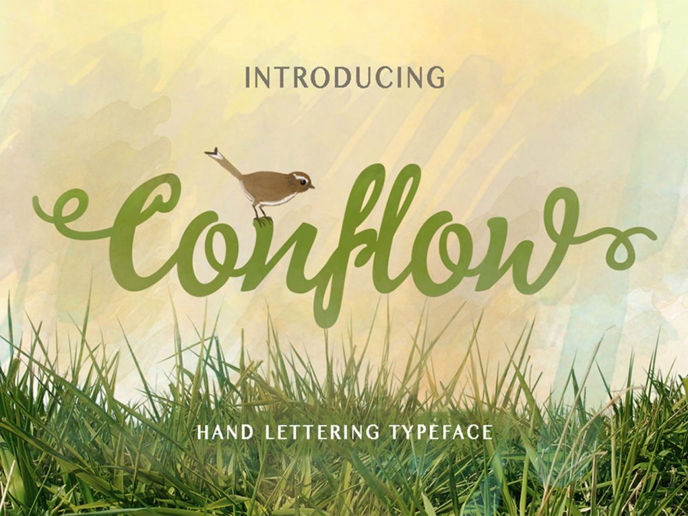 Conflow Typeface Font