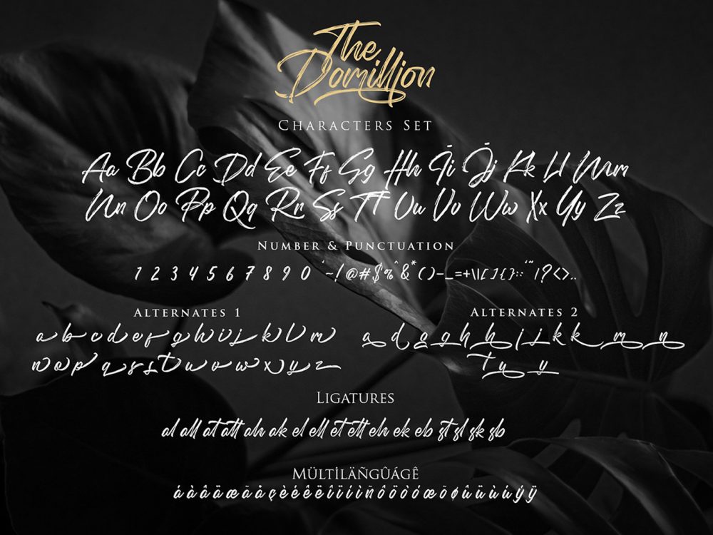 Domillion Brush Font Free