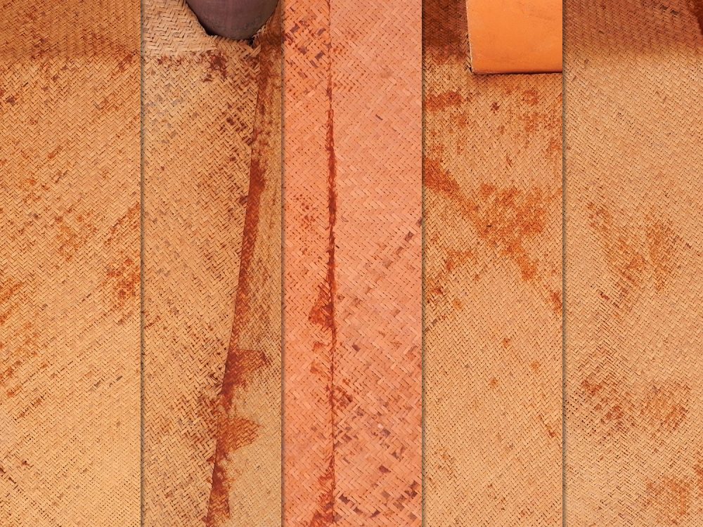 Dry Palm Leaves Texture Pack