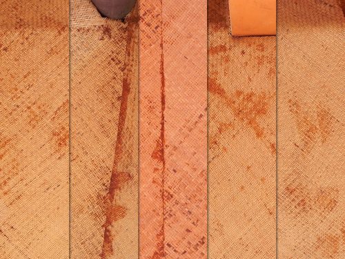 Dry Palm Leaves Texture Pack