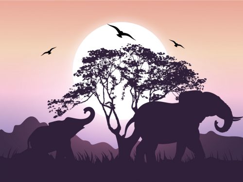 Elephant Silhouette Illustration