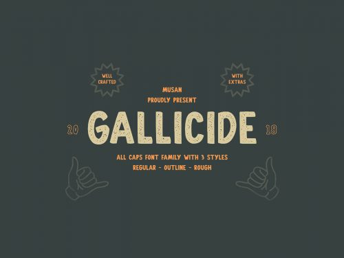 Gallicide Display Font Family