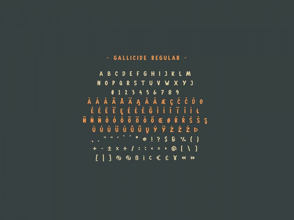 Gallicide Display Font Family