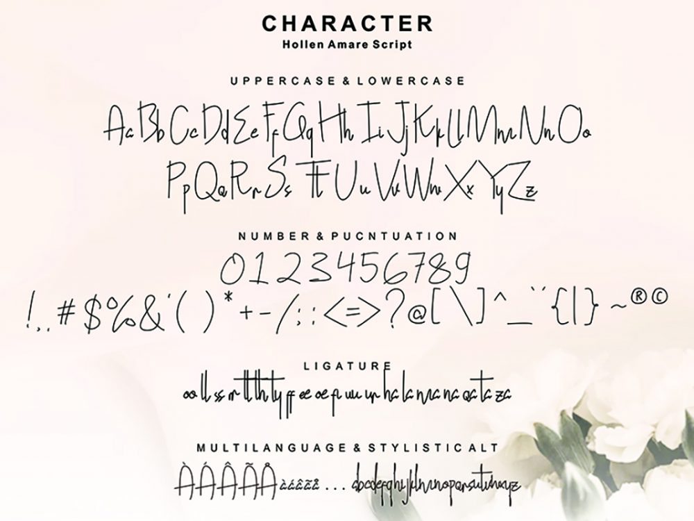 Hollen Amare Font Duo