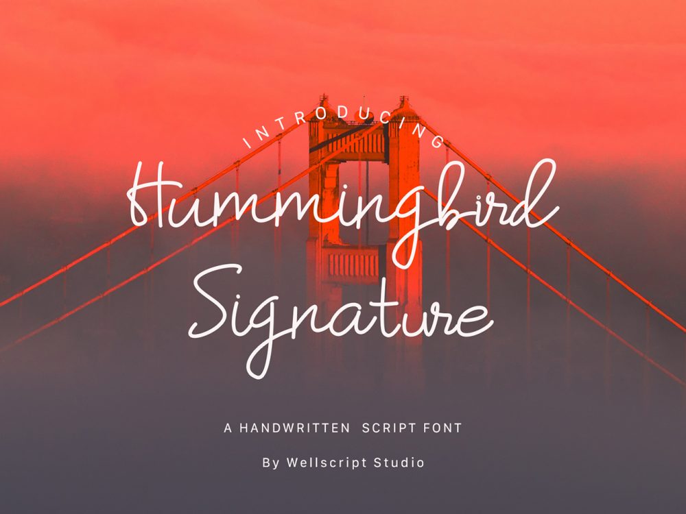 Humming Bird Script Font