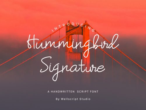 Humming Bird Script Font