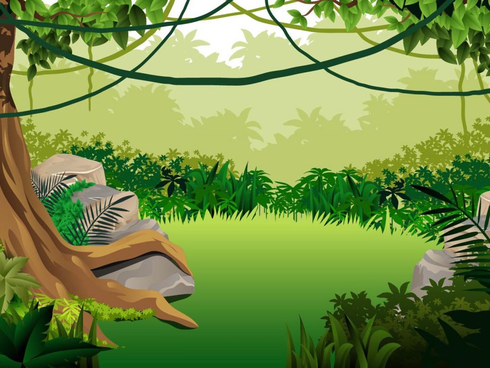 Jungle Landscape Illustration