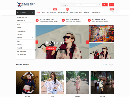 Online Shop eCommerce WordPress Theme