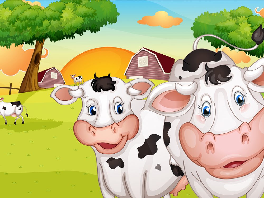 A Farm with Many Cows Illustration