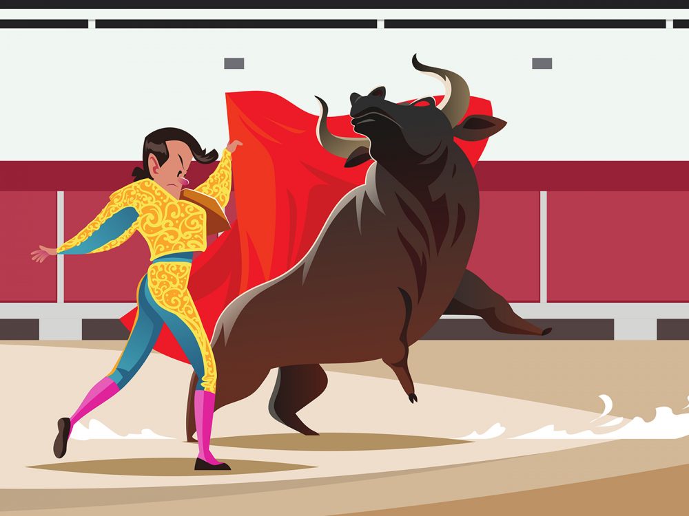 Bull Fighter Illustration