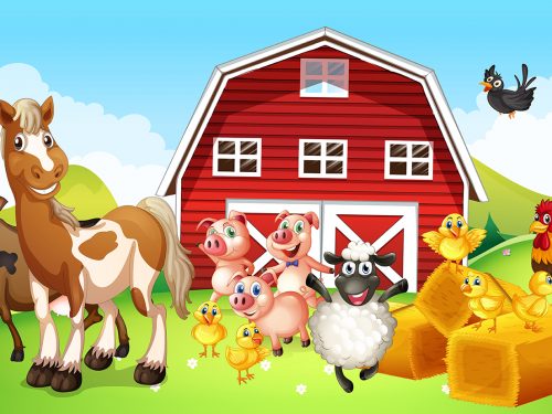 Farm Animals Living on the Farm