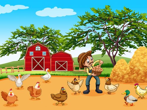 Farmer with Chickens and Eggs