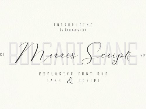 Morris Signature Script Font