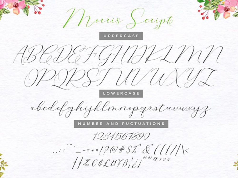 Morris Signature Script Font