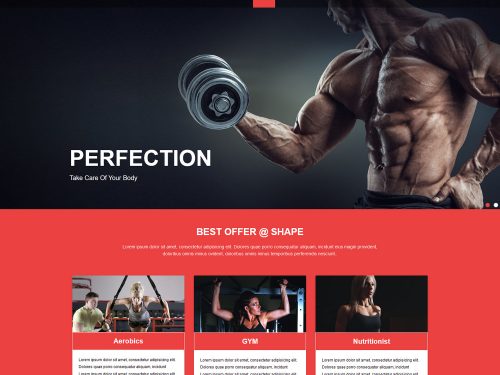 Shape Free Fitness Website HTML Template