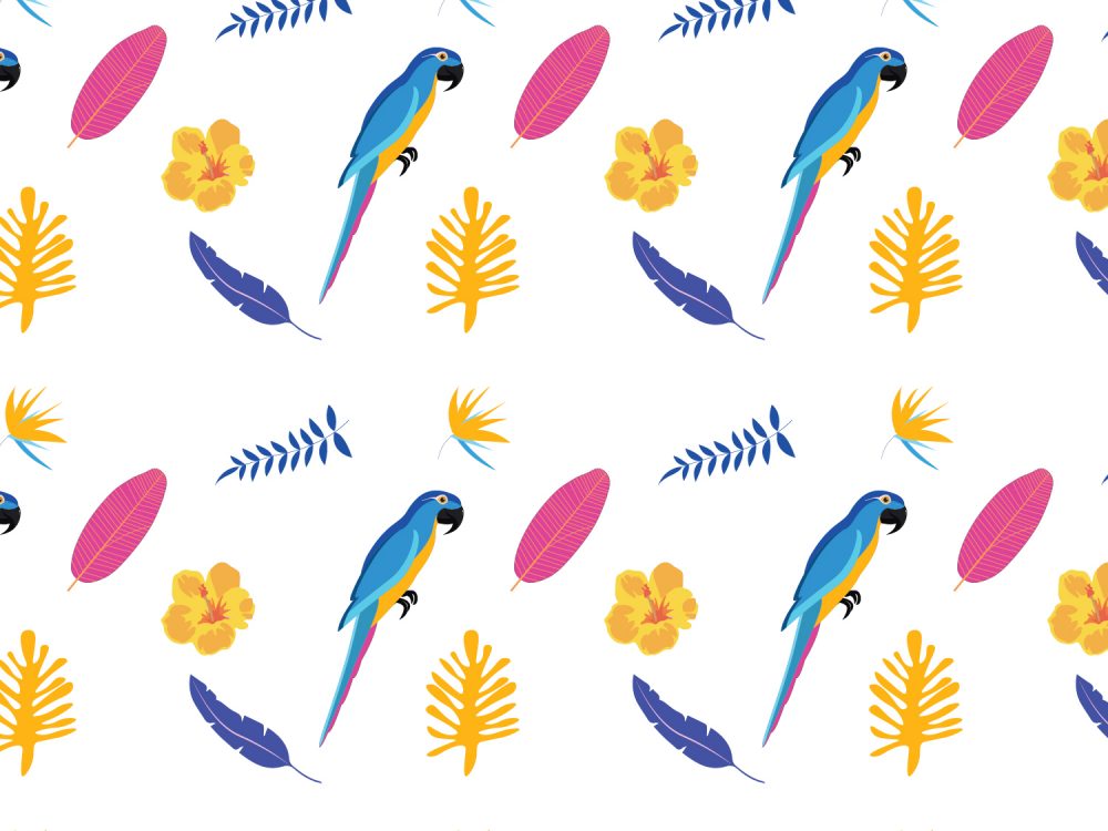 Tropical Pattern Vector