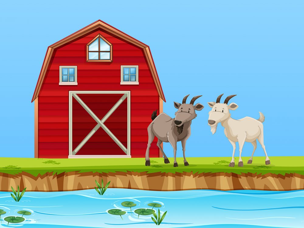 Two Goats in Farm Scene Illustration