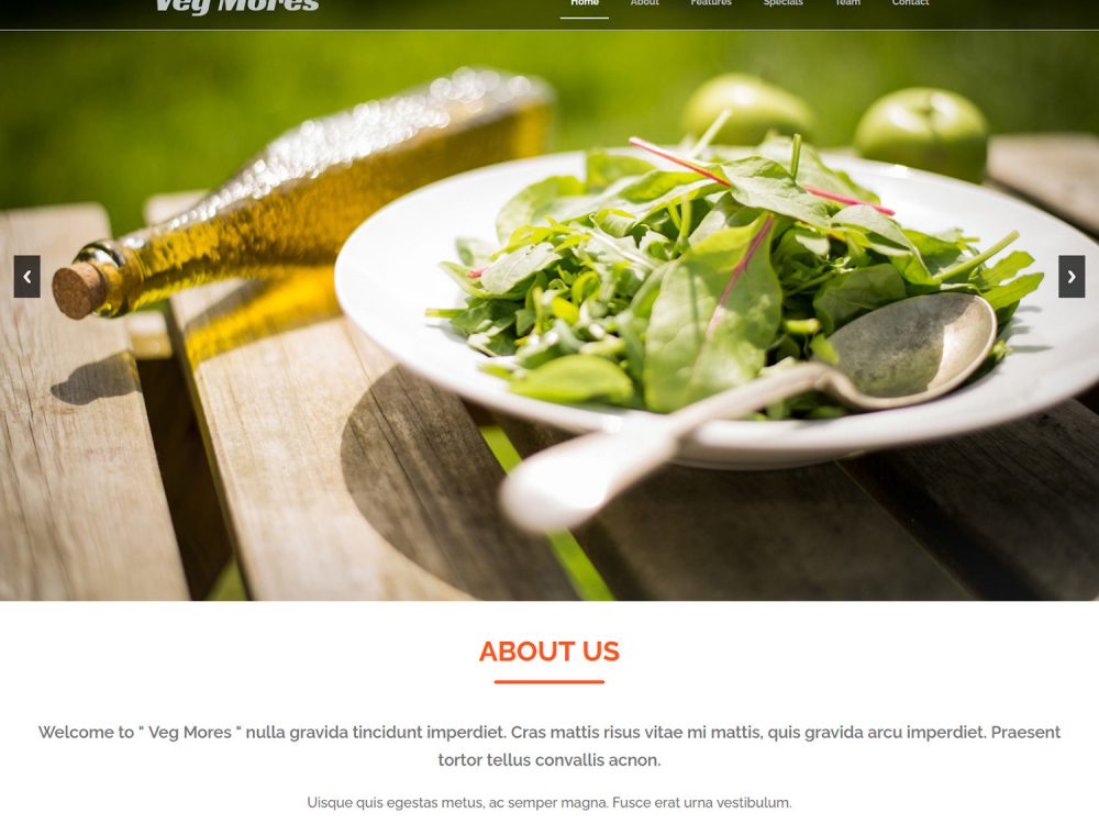 Veg Mores Bootstrap Responsive Web Template