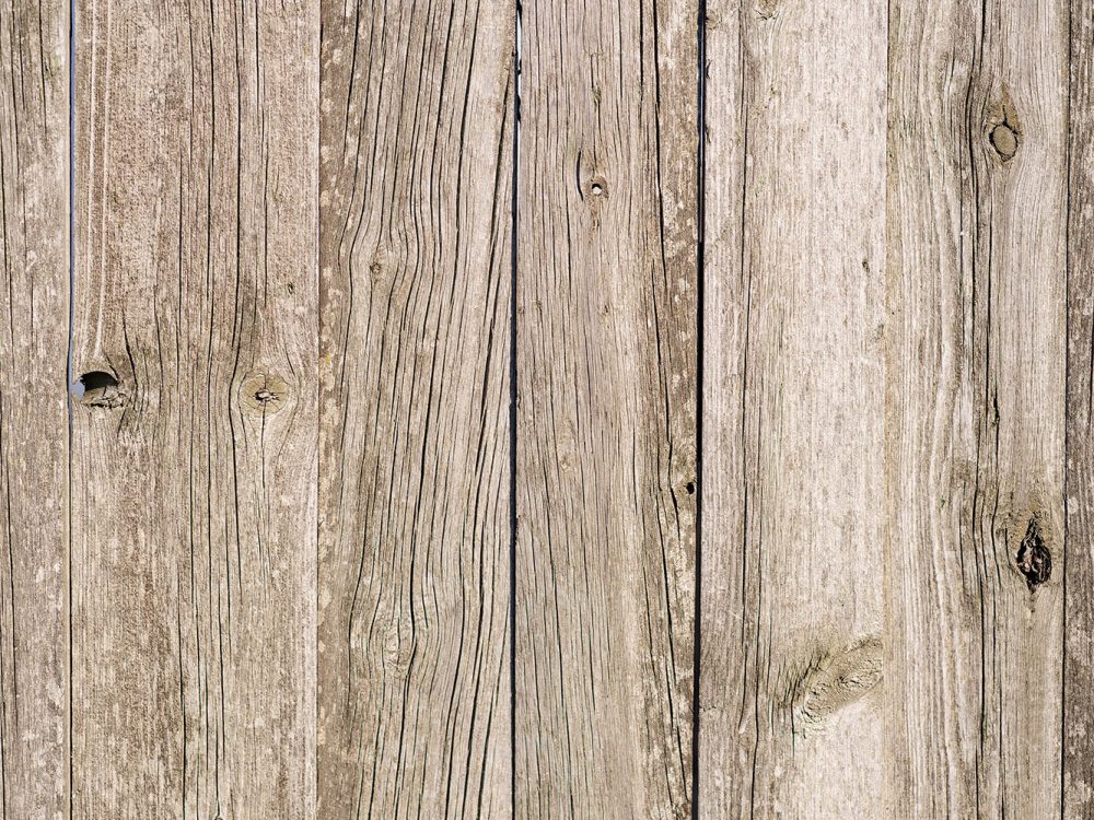 Plank Texture