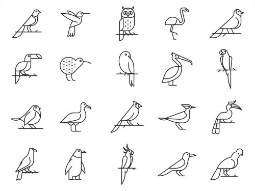 20 Bird Vector Icons
