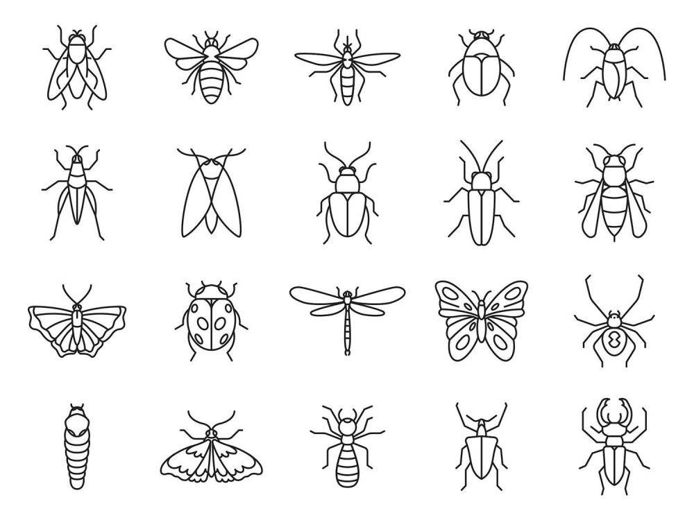 20 Insects Vector Icons