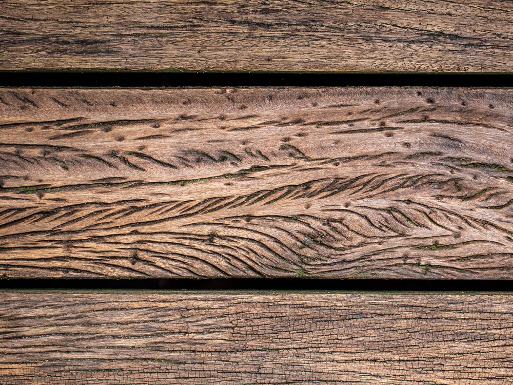Beautiful Old Wood Texture