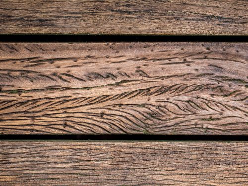 Beautiful Old Wood Texture